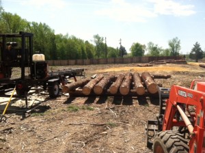 Maryland Lumber Mill